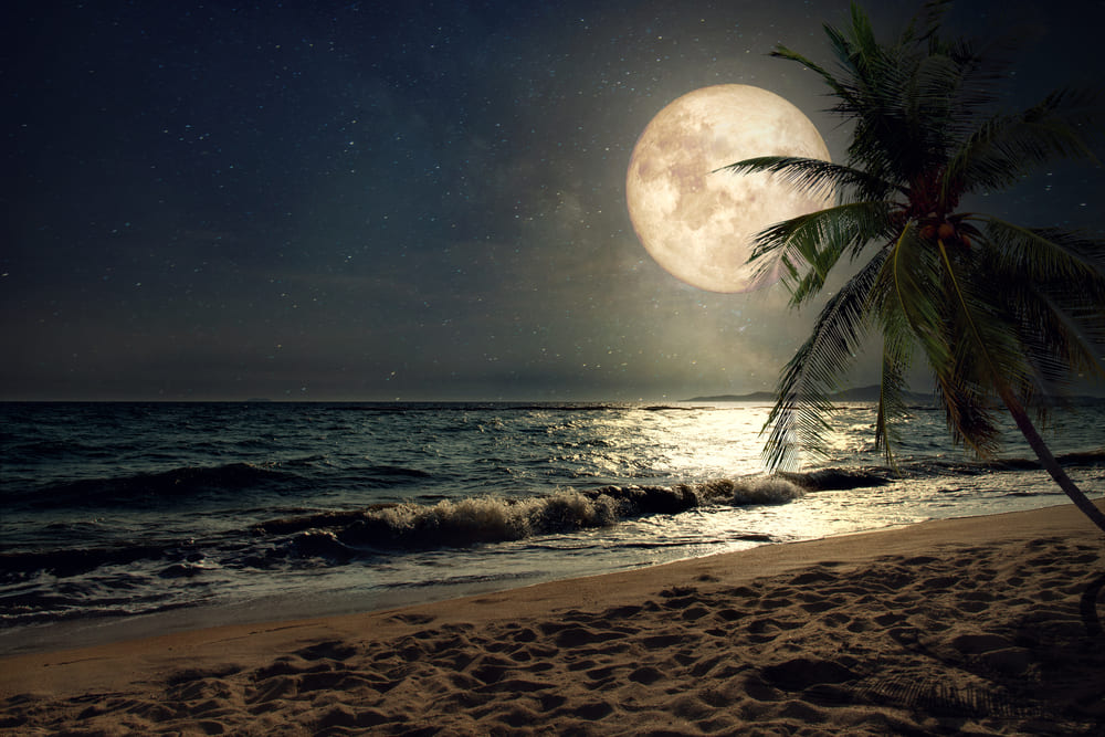 romantic shayari in hindi